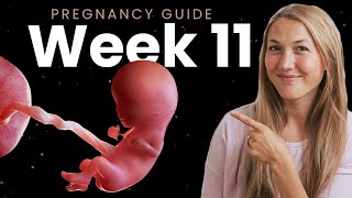 11 Weeks Pregnant  Week By Week Pregnancy [upl. by Airlie428]