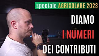 AGRISOLARE 2023  Diamo i numeri dei contributi [upl. by Nalek]