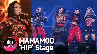 MAMAMOO마마무 HIP Showcase Stage 쇼케이스 무대 솔라 문별 휘인 화사 통통TV [upl. by Willumsen]