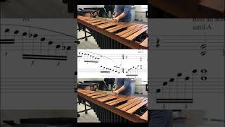 Rayleigh marimba solo by Cody Holmes percussion music [upl. by Ytte]