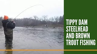 Tippy Dam Steelhead And Brown Trout Fishing  The Manistee River  Northern Michigan Fishing [upl. by Sams]