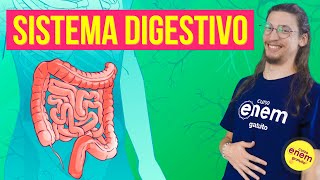 SISTEMA DIGESTIVO ANATOMIA E FUNÇÕES  Resumo de Biologia para o Enem [upl. by Allred]