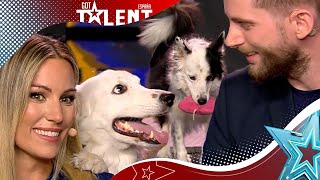 PERRO que reconoce MÁS de 200 palabras y sabe posar  Audiciones 6  Got Talent España 2023 [upl. by Imef322]