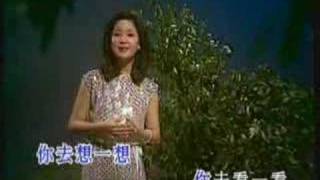 The Moon Represents My Heart  Teresa Teng [upl. by Yonit]