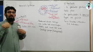 Derivatives of Ectoderm and Endoderm MCQ mp4 [upl. by Eerat]