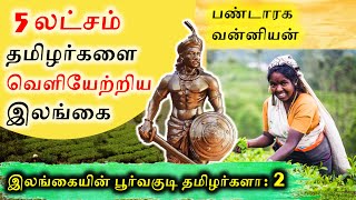 Part 2  5 லட்சம் தமிழர்களை வெளியேற்றிய இலங்கை  Tamils are natives to Srilanka  SangathamizhanTV [upl. by Riccardo]