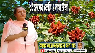 এই ফলের কেজি ৪ লাখ টাকা  কক্সবাজারে জাহানারার জাফরান গাছ  Saffron cultivation  Jafran tree [upl. by Ydroj131]