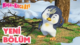 Maşa İle Koca Ayı  Yeni bölüm 2024 🐦 Sıradışı Kuş 👋 Bölüm koleksiyonu 🎬 [upl. by Ehtyaf]