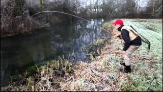 A Christmas grayling [upl. by Gordy]