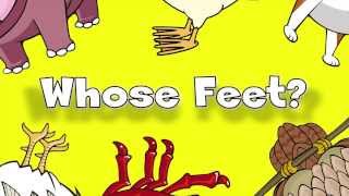 Whose Feet  Learn Animals Song for Kids [upl. by Legnaleugim399]