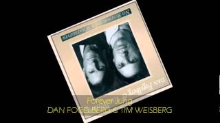 Dan Fogelberg amp Tim Weisberg  FOREVER JUNG [upl. by Novehs]