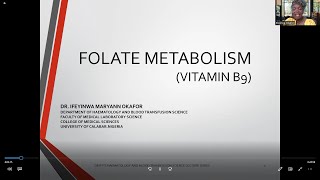 FOLATE METABOLISM Vitamin B9 Folic acid Metabolism B9 Metabolism [upl. by Namwob850]