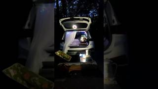 Solo Car camping in the Forest camping carcamping travel shorts [upl. by Pittel40]