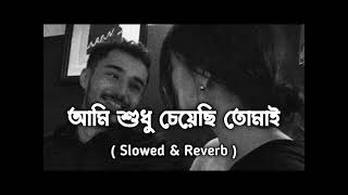 AamiSudhuCheyechiTomay।।Slow amp Reverb Lofi ।। আমি শুধু চেয়েছি তোমায় ।।Bengali song [upl. by Aigil]