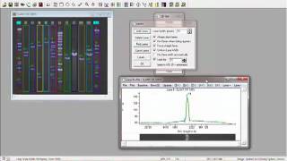 DNA Analysis with GelPro Analyzer Software from Media Cybernetics [upl. by Graces990]