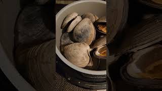 Steamed Cherrystone Clams [upl. by Eldwun]