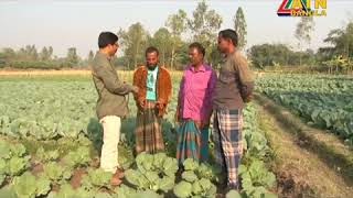 Farmers Hub model of Syngenta Foundation on ATN Bangla [upl. by Furr]