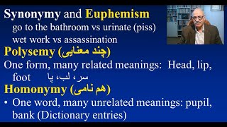 Synonymy Polysemy Homophony Homographs  زبانشناسی  هم معنایی، چند معنایی، هم آوایی، هم نویسگی [upl. by Irotal]