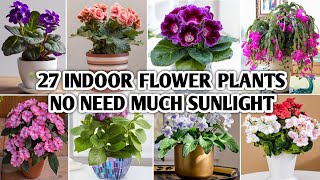 27 Indoor Flowering Plants  Best Indoor Flowering Plants no need much sunlight  Plant and Planting [upl. by Munroe]