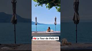 Le deck gratuit de La TourdePeilz près de Vevey au bord du lac Léman [upl. by Llirrehs]