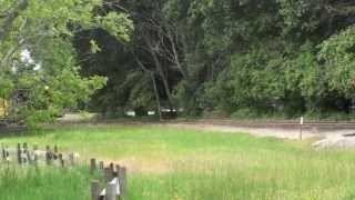 Roaring Camp Railroads Felton CA [upl. by Remlap]