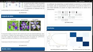 Implementación de Clasificadores Jerárquicos en Redes Neuronales Clásicas e Híbridas [upl. by Ahsienyt410]