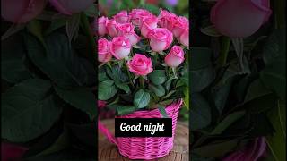 Good night WhatsApp status video shorts❤️❤️ [upl. by Rese]