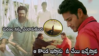 Khaleja Movie Blockbuster Action Climax Scene  Prakash Raj  Mahesh Babu  HD Cinema Official [upl. by Denten75]