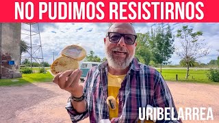 😲NO IMAGINAMOS ENCONTRARNOS CON ESTO RECORRIMOS URIBELARREA Y NOS IMPRESIONÓ😱vanlife motorhome [upl. by Gagnon]