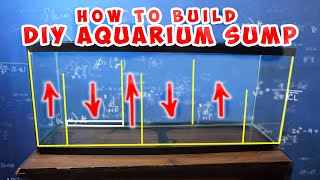 How To Build DIY Aquarium Sump Filtration [upl. by Waite]