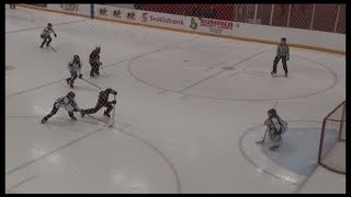 TOP 10 GOALS at 2018 Capital Ringette Classic finals CT rink [upl. by Notselrahc599]