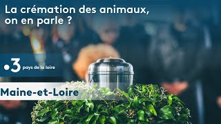 crémation danimaux leur fin de vie existe aussi [upl. by Mannie]