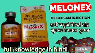 Melonex injection Meloxicam Maloxicam injection how to use Melonex in Animals Manjhi Veterinary [upl. by Hsilgne280]