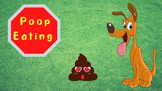 Why Do Dogs Eat Their Poop  Stop a Dog From Eating Poop [upl. by Areis]