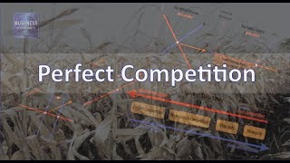 Perfect Competition [upl. by Ennaylloh]