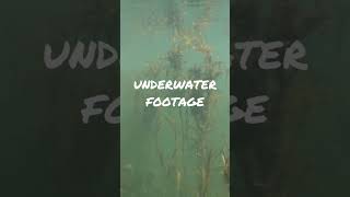 Underwater Footage  Nandoni Dam [upl. by Cullen]