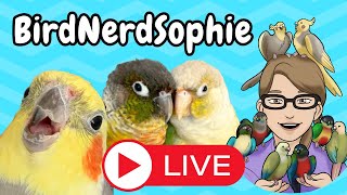 BirdNerdSophie Livestream [upl. by Delainey]