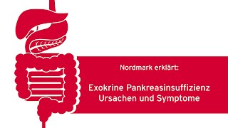 Exokrine Pankreasinsuffizienz Ursachen und Symptome [upl. by Inele673]