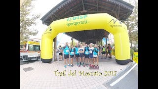 Trail del Moscato [upl. by Berlin]