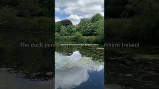 The duck pond newtownards Northern Ireland experience motivation travel water outdoors nature [upl. by Ahsimal]