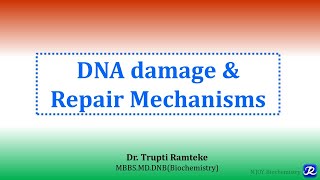 6 DNA damage and repair mechanisms  Molecular Biology Biochemistry  NJOY Biochemistry [upl. by Akcirderf]