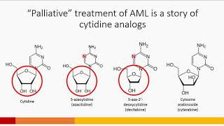 “Improving outcomes in Acute Myeloid Leukemia” by Benjamin K Tomlinson MD [upl. by Deacon]