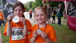 Danke Uelzen Für diesen RekordAZAbendlauf 2016 [upl. by Ferdinande]