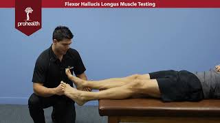 Flexor Hallucis Longus Muscle Test Palp Dr Vizniak Muscle Manual [upl. by Edythe]