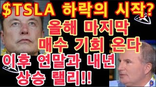 TSLA 주가 하락의 시작 테슬라 올해 마지막 매수 기회 온다 이후 연말과 내년 상승 랠리  Dan Ives   테슬라 투자  Tesla 주가  미국 증시 [upl. by Oir]