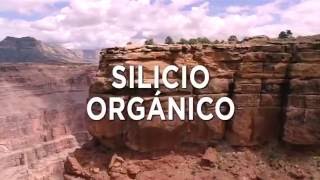 ¿Que es el silicio orgánico Silicio Orgánico México [upl. by Nieberg]