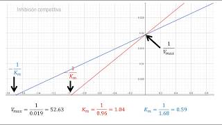 Cinética Enzimática  Diagrama de LineweaverBurk con inhibición  Ejemplo [upl. by Eedahs]