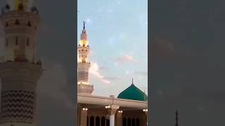 Hara Gumbad Jo Dekhoge Zamana Bhool Jaoge Naat  Heart Touching Naat  Ghulam Mustafa Qadri Studio5 [upl. by Farland145]