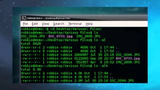 Purging Old Files in Linux [upl. by Aubree]