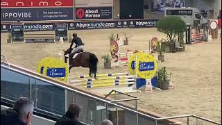 Jorik Vervoort x Salamander Dwerse Hagen stallion 2018 Stallion competition 2022 [upl. by Goldsmith]